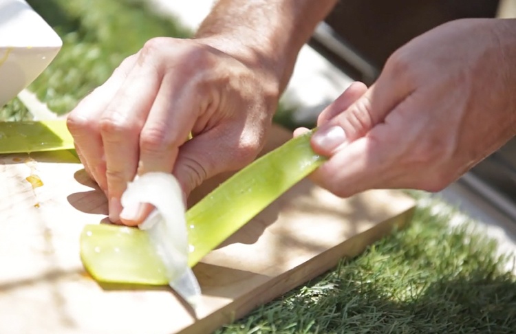 aloe vera rastlinný aplikačný gél win