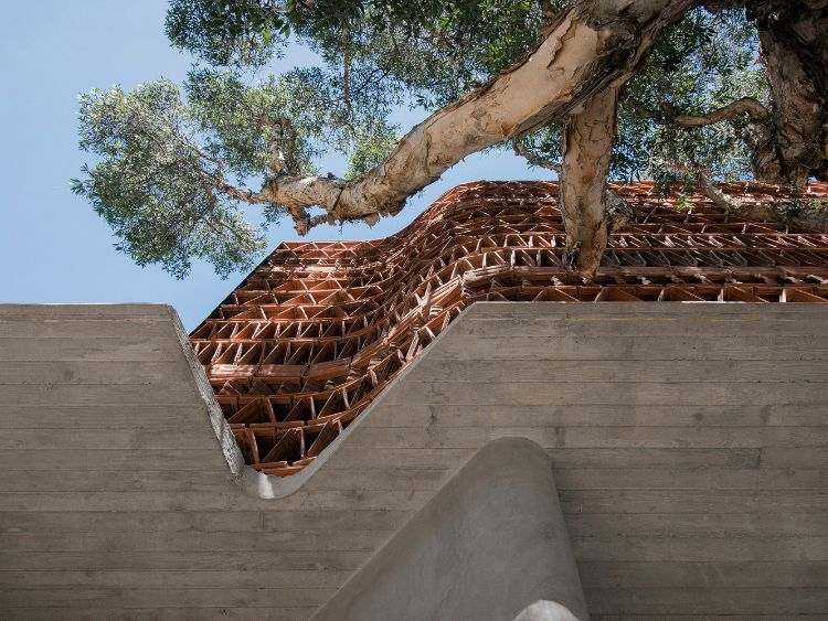 stará strešná škridla recyklácia architektúra exteriér fasáda konštrukcia projekt kancelárska budova recyklácia materiál dizajn klenutý baldachýn strom
