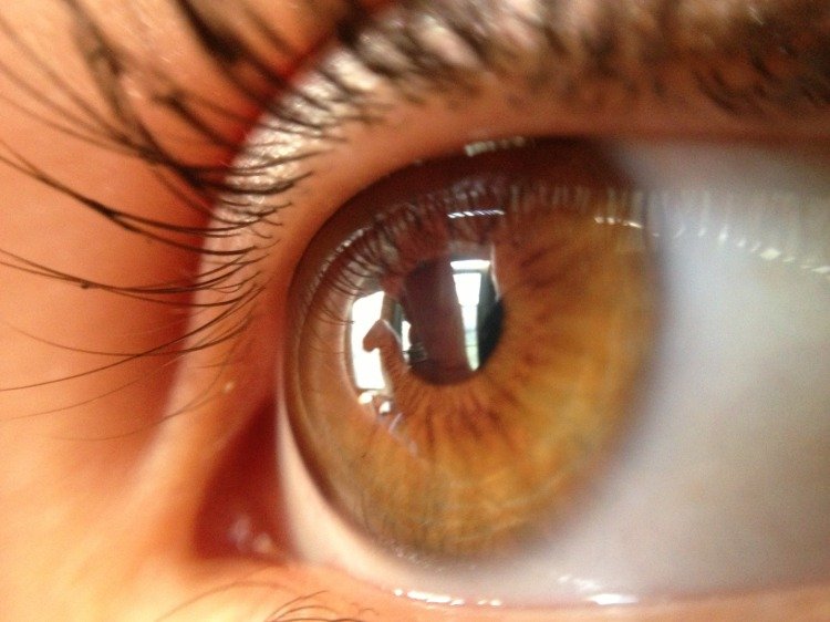 zblízka oka zisťujúceho biologické starnutie pomocou očného skenera