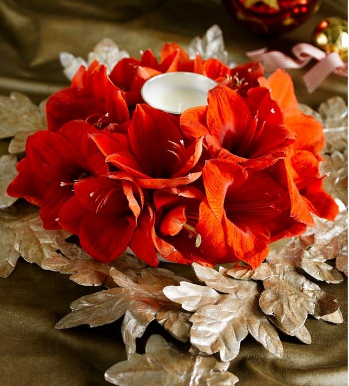 Nápady na vianočné dekorácie červené amarylisujú stolné lampáše stolné lampáše z červenej amarylky aranžujú nápady