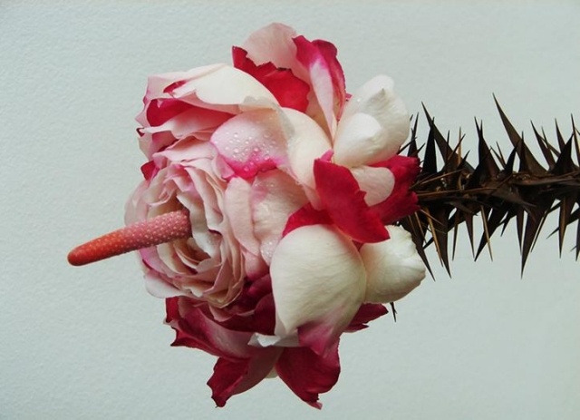 andreas verschijen kvetinové úpravy hybridné rozvíjanie ruže hybridné kvety andreas verschijen rozvíjajú ružu