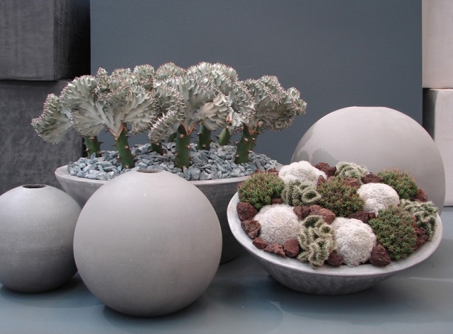 kaktusové sukulenty andreas verschijen kvetinové úpravy kaktusové sukulenty andreas verschijen hybridné rastliny kvetinové úpravy