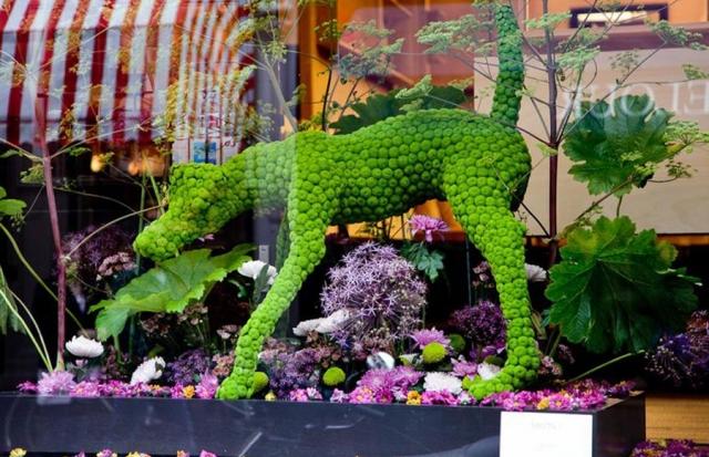 kresba psa aranžovanie kvetov zelené chryzantémy kresba psa aranžmán kvetov