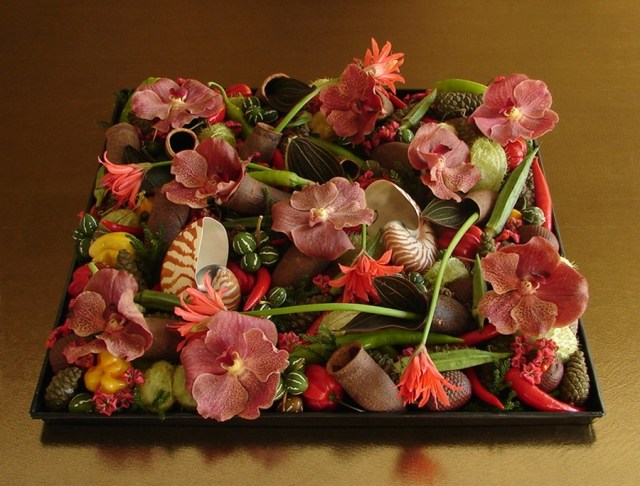 výstava hybridných rastlín andreas verschijen kvetinové úpravy andreas verschijen hybridné rastliny kvetinové úpravy andreas verschijen