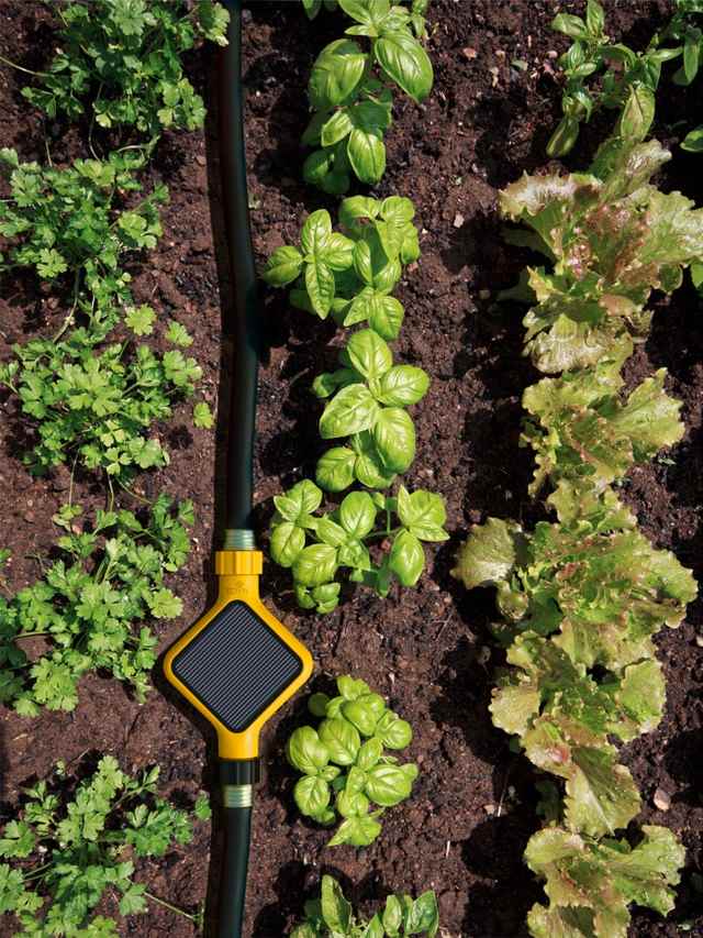 záhrada automaticky polieva zeleninu ovocné kvety