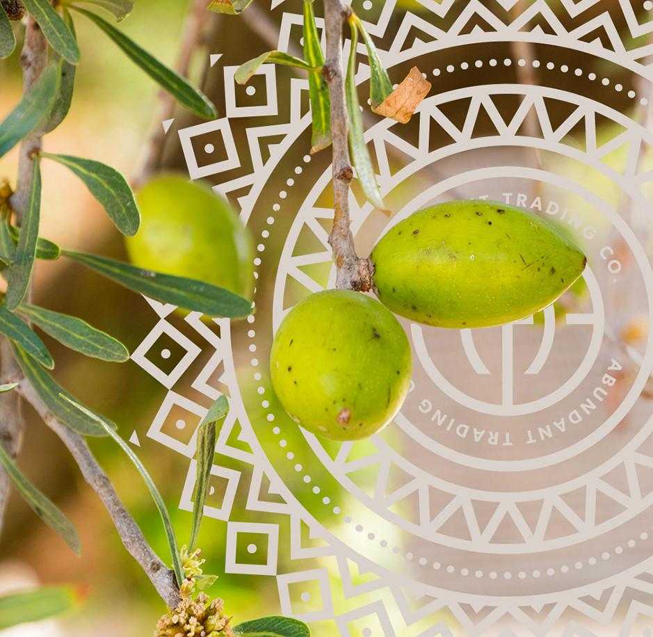 Arganový olej s efektom pokožky pleťová maska proti akné domáca starostlivosť o vlasy v lete ochrana pred slnkom