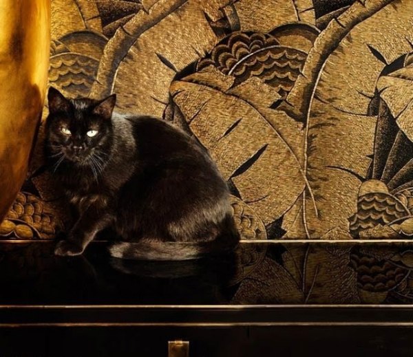 Artdeco dekorácie-živé nápady luxusný textil Nápady na dekoráciu domu v štýle art deco, luxusná textúra