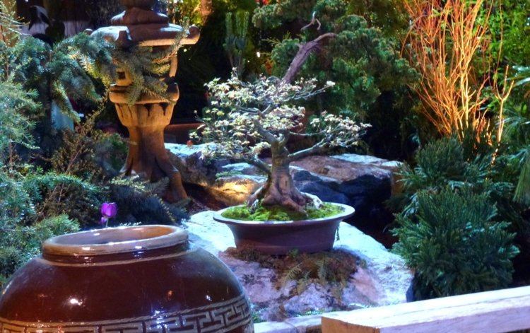 ázijský-umenie-dekorácia-bonsai-strom-maják-terakota-črepníkový kameň