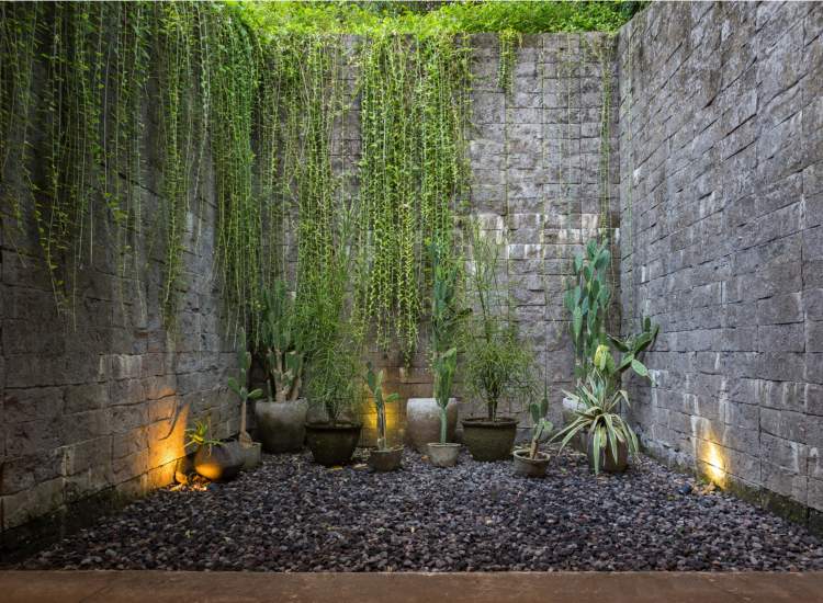 ázijský štýl bývania nádvorie štrk púštne rastliny popínavé rastliny