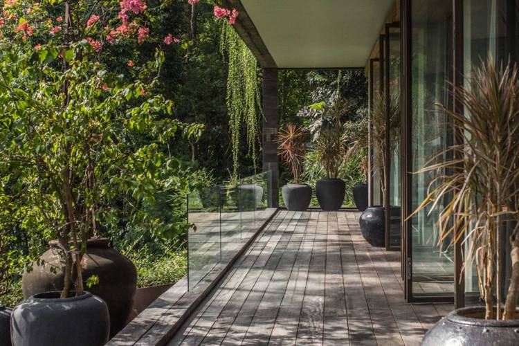 ázijský životný štýl balkónové rastliny v črepníku