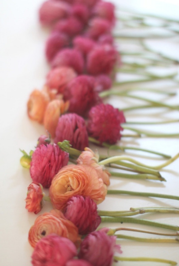 kvety-ako-dekoracia-na-party-dom