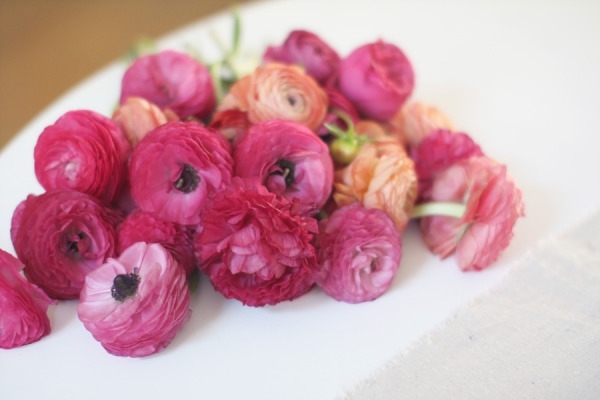 príprava kvetu-nápad-dekorácia-stôl-návod