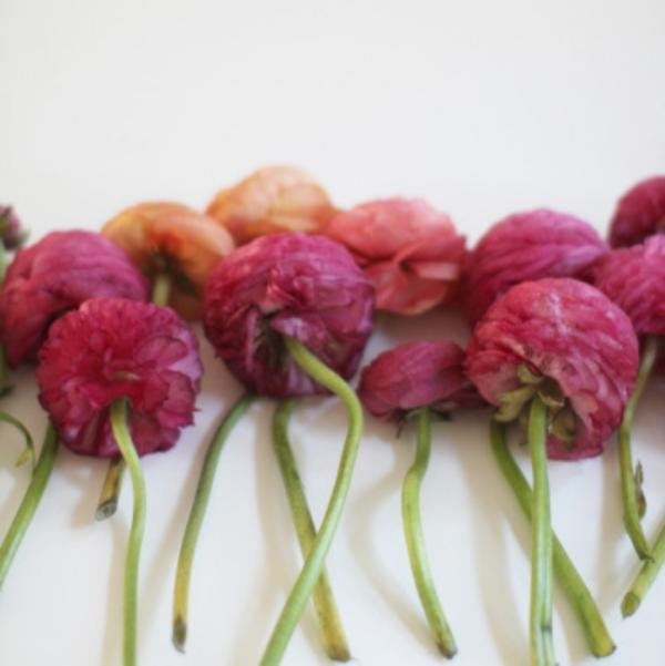 kvetinová priadza-urob si sám-nápad-dekorácia