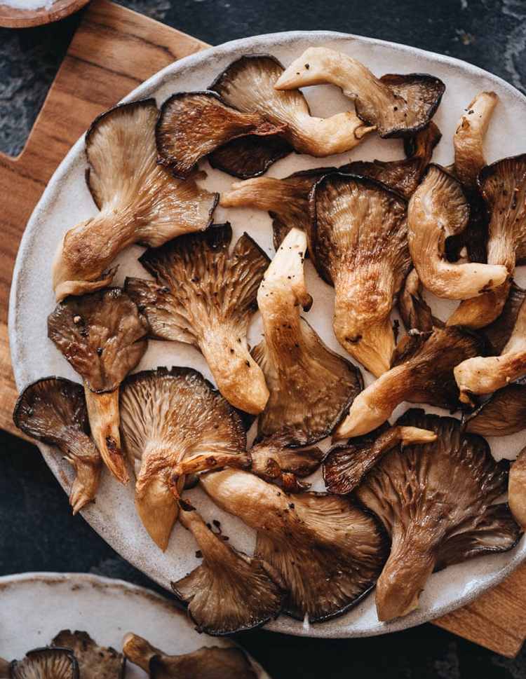 Hliva ustricová suché tipy a nápady pre vegánov