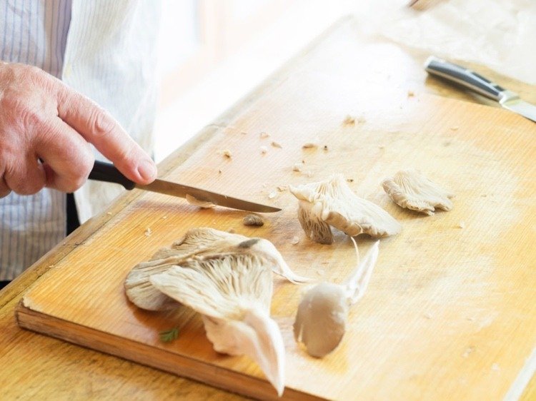 Hliva obsahuje vitamíny a je vhodná ako náhrada mäsa