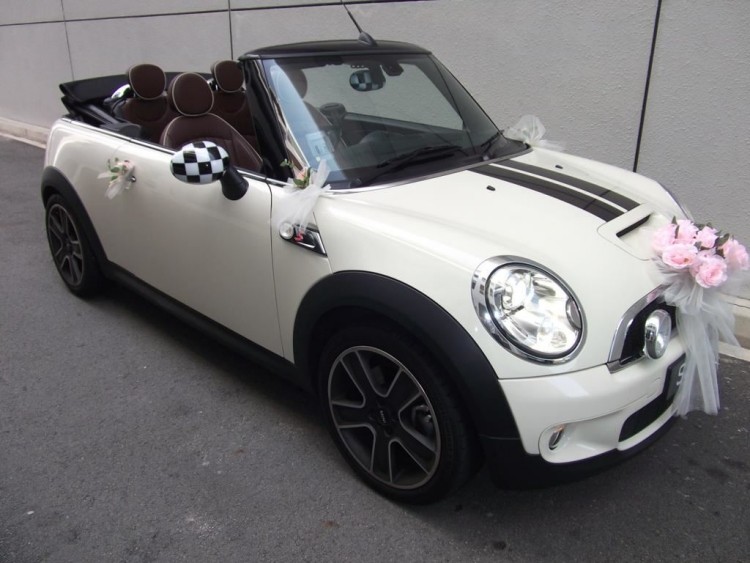 Ružové ruže zdobia prednú časť svadobného auta Auto-šperky-svadba-ružové-ruže-čierne-pruhy