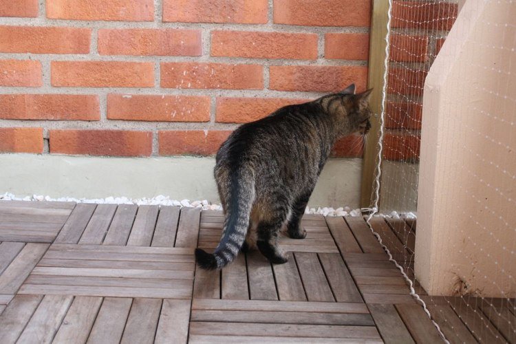 balkón pre mačky zaistiť sieť z bieleho okrasného štrku