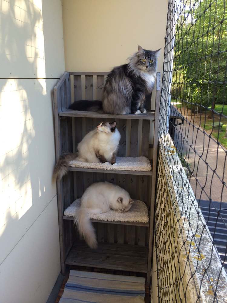 Balkón na ochranu proti pádu pre mačky lezenie po sieťke