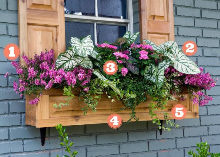 výsadba balkónových boxov sezónne kvety kombinovať