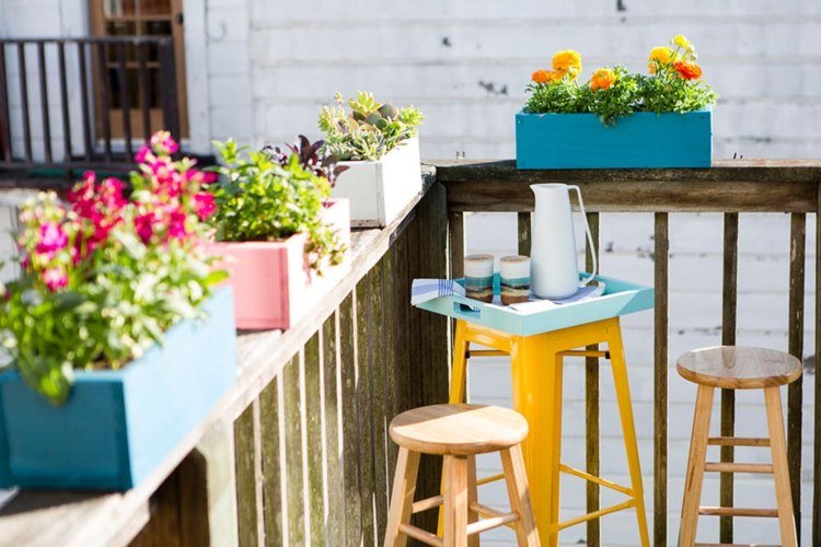 Vyberte kvety kvetov balkóna