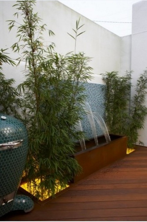 Bambusová záhrada v interiéri rastie vysoké rastliny rastú