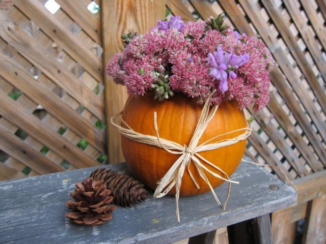 váza na kvety-tekvica-vyrezávané-vydlabané-drotárstvo-nápad