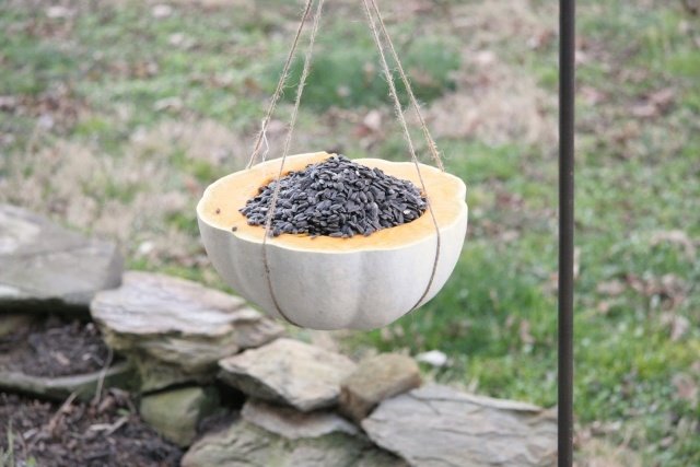 vtáčie-vtáčie-kŕmidlo-vydlabané-tekvica-drotár-nápady-jeseň