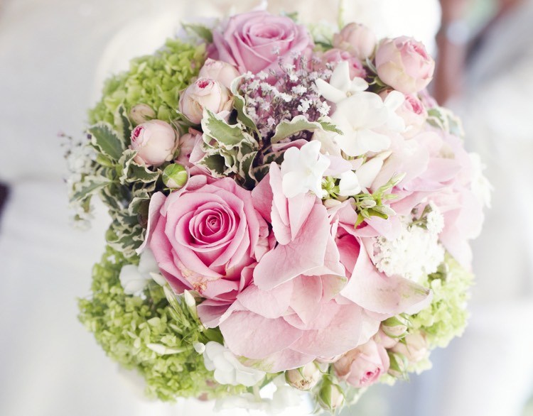 drotár-skutočné-kvety-kvet-guľa-špongia