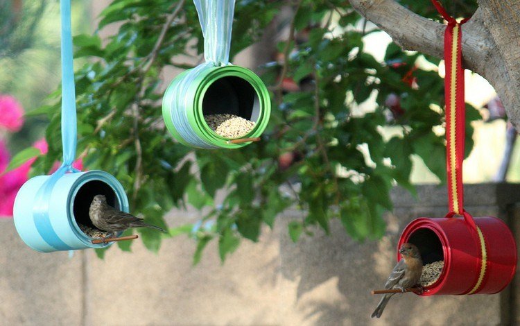 prázdne plechovky drotár kŕmenie trubice vtáky záhrada