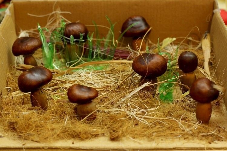 Ručné práce so žaludmi a gaštanmi jeseň-lúka-huby-drotár-nápady-deti