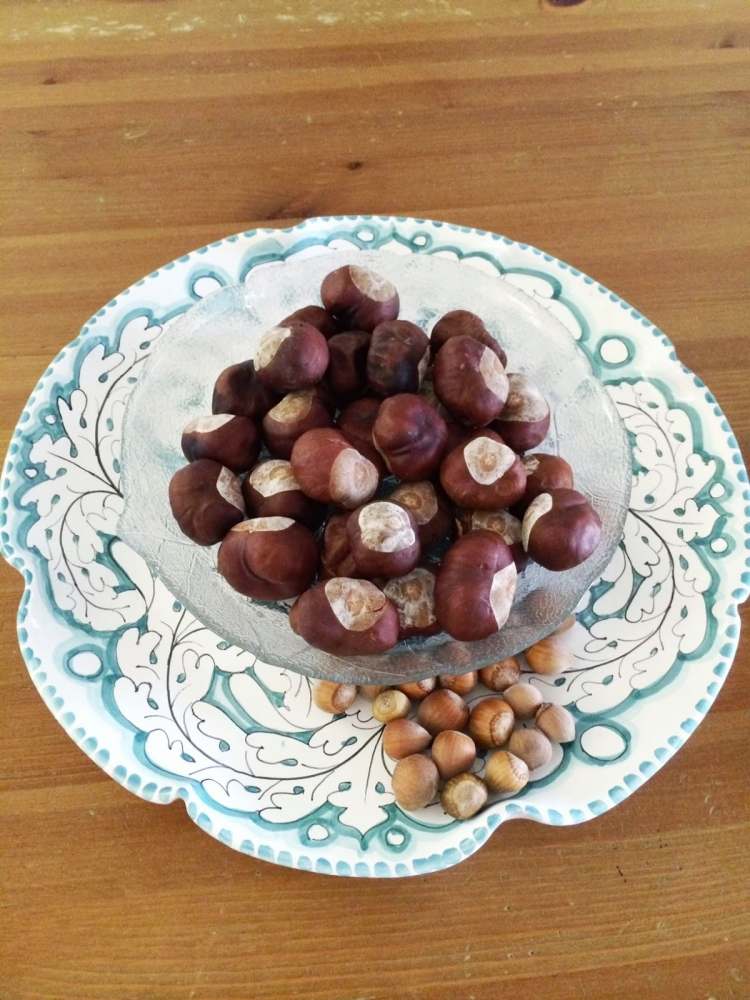 drotár-gaštan-jesenná dekorácia-tanier-misa-stôl-ozdoby-sklo-porcelán