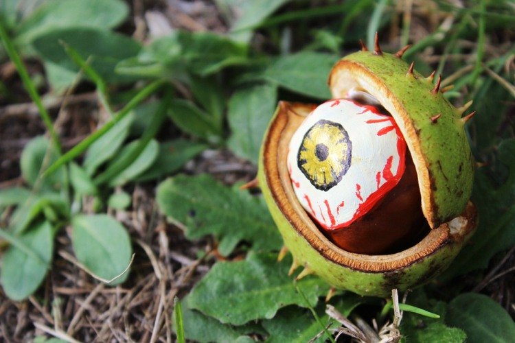 drotár-gaštan-jesenná dekorácia-nápady-vtipné-maľovanie očí-urob si sám