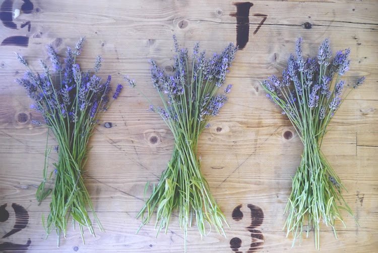 Robte ručné práce s levanduľou-DIY-nápady-návody-urobte si sami