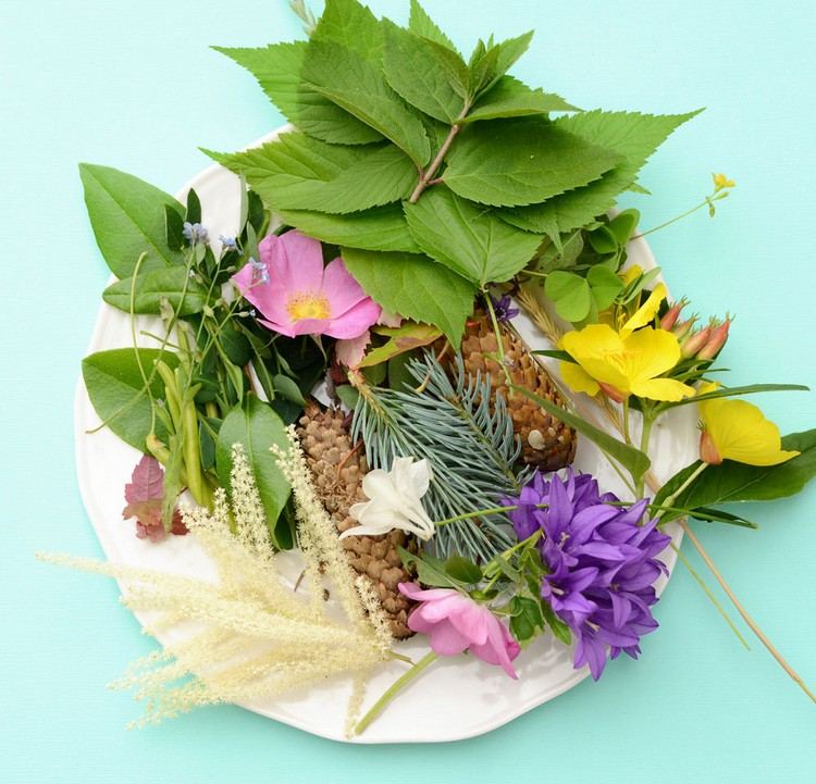 Ručné práce s prírodnými materiálmi v lete zbierajú listy-kvety