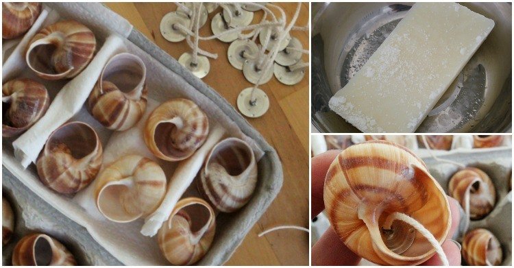 drotárske-mušle-sviečky-urob si sám-návod