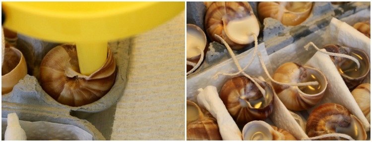 drotári-mušle-sviečky-vosk-urob si sám