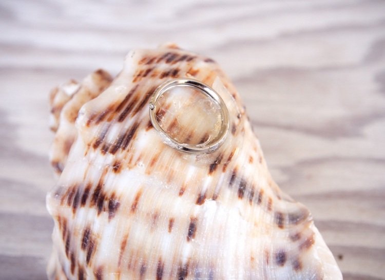 drotárske-slimačie-ulity-mini-záhradné-kvetináče-kvetináče