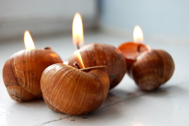 tinker-snail-shells-diy-candles-do-it-yourself-tinker-nápady-dekorácia
