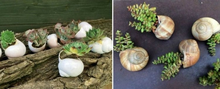 drotársko-slimačie ulity-sukulentné-rastliny-kvetináč-konáre-originály