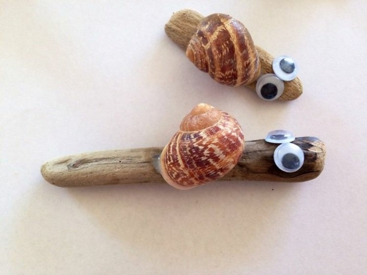 tinker-snail-shells-tinker-idea-kids-driftwood-wiggle eyes
