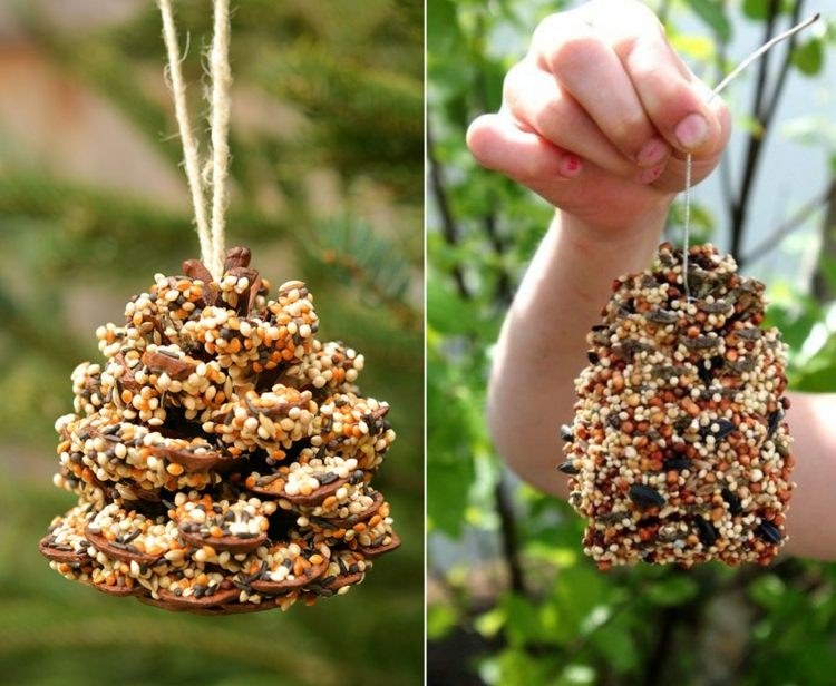 Užitočný nápad na ručné práce s šiškami v lete - kŕmne šišky priťahujú vtáky do záhrady