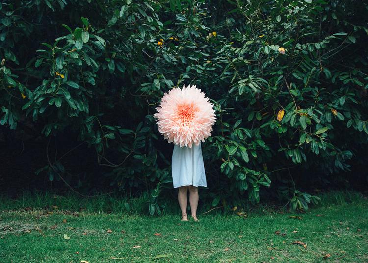 Vyrobte si papierové kvety -dahlia-krep-papier-veľký-urob si sám