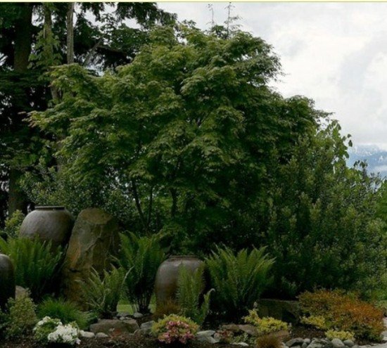 Nápady na dekoráciu záhradnej fontány