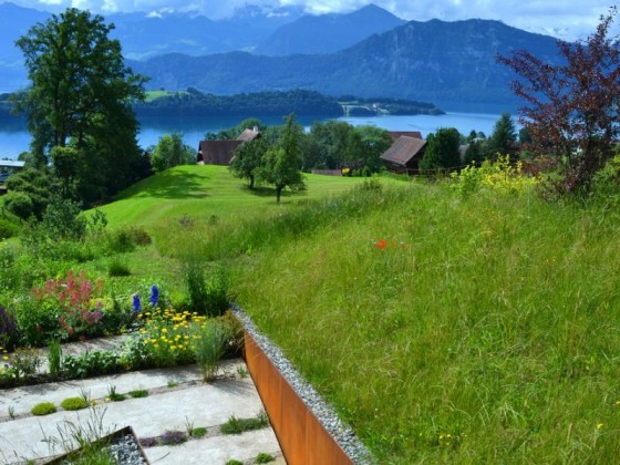 stráň záhrada oceľová stena priečka štrk voľný priestor architektúra