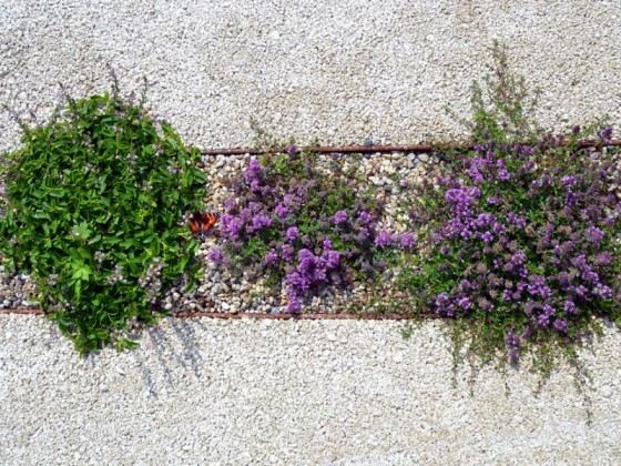 záhradný moderný interpretuje dizajnové prvky okrasné rastliny architektúra otvoreného priestoru