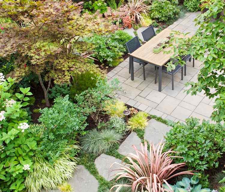 Domový strom v záhradke na vyhradené miesto pre nápady na malé záhradné terasy