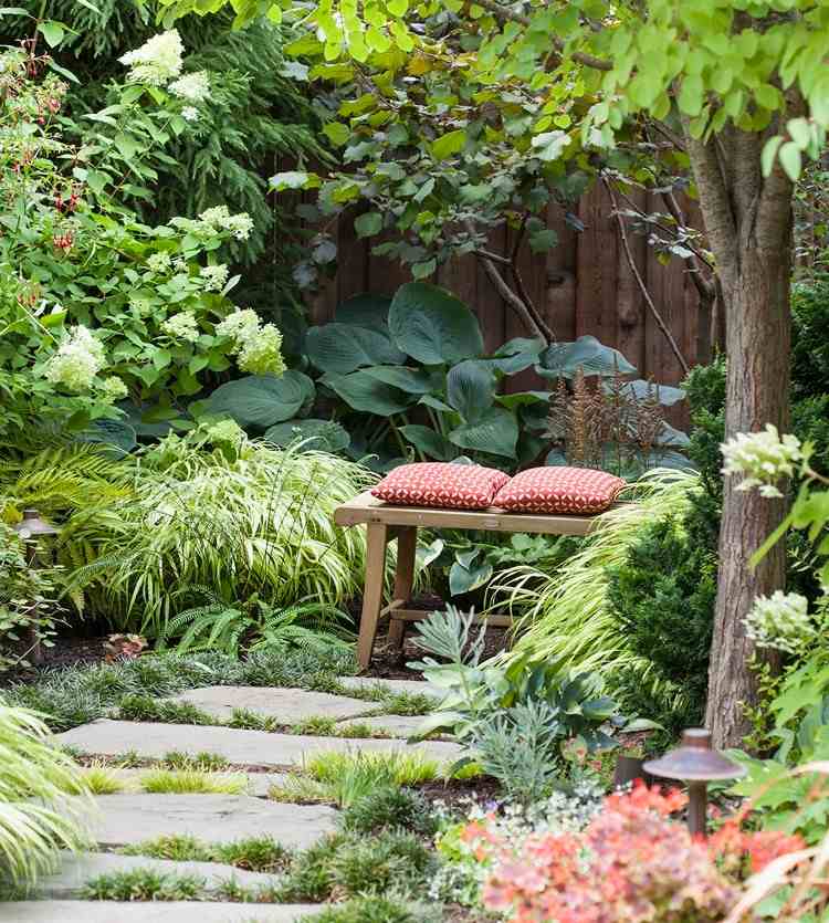 Stromy pre malé záhrady ako nápady na tieň