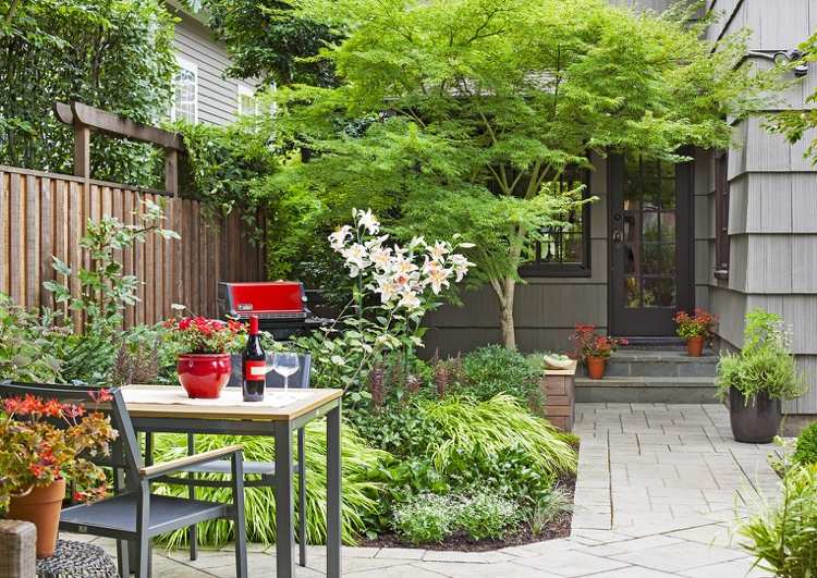 Domový strom pre malú záhradu Príklad zlého dizajnu predzáhradky