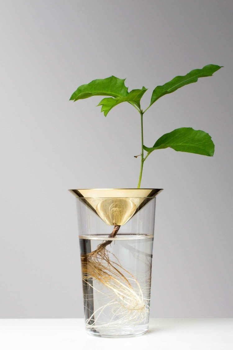 strom plávajúce sklenené koreňové listy lievik mosadzný dizajn