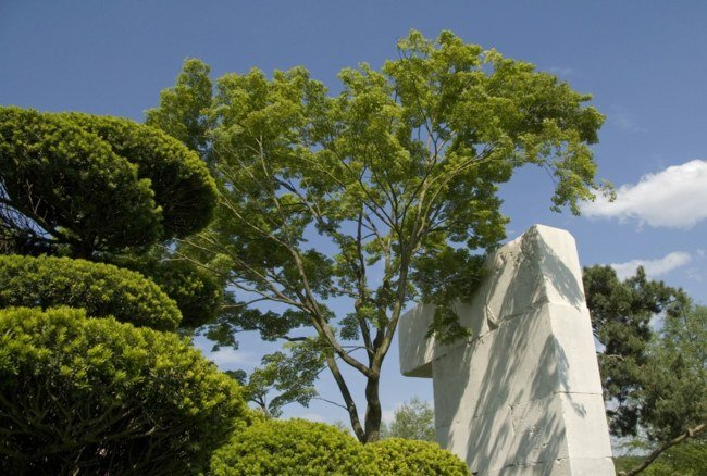 Stromy Park Príroda Slnko Letné cestovanie Naplánujte si slnečné letné cesty po Švajčiarsku